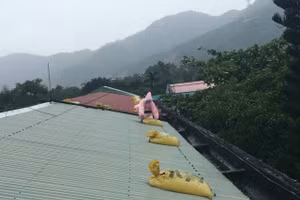 Trường THCS Nguyễn Tri Phương (huyện Hòa Vang, Đà Nẵng) chèn bao cát trên mái các phòng học trước khi bão vào. 