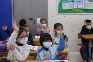 Học sinh tiểu học ở các huyện ngoại thành Hà Nội đã đến trường từ ngày 10/2