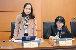 Đại biểu Siu Hương- Đoàn ĐBQH tỉnh Gia Lai đóng góp ý kiến.