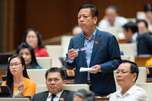 Đại biểu Nguyễn Trường Giang (Đoàn ĐBQH tỉnh Đắk Nông) khi tranh luận tại hội trường - sáng 27/10.