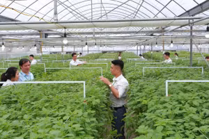 Sinh viên Học viện Nông nghiệp Việt Nam tại vườn thực nghiệm.