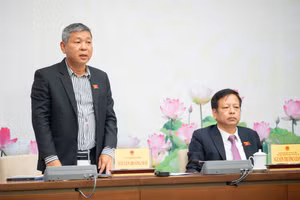 Ông Nguyễn Hoàng Mai - Phó Chủ nhiệm Ủy ban xã hội của Quốc hội trao đổi tại buổi họp báo - chiều 15/11.