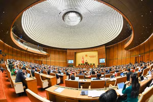 Kỳ họp thứ 4, Quốc hội khoá XV.