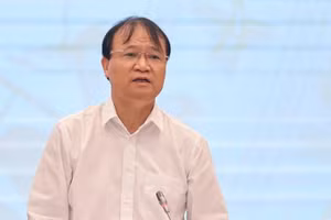 Thứ trưởng Bộ Công Thương Đỗ Thắng Hải.