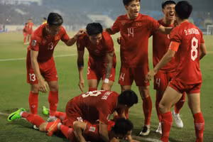 Tuyển Việt Nam nhận ‘mưa tiền thưởng’ trước thềm chung kết AFF Cup