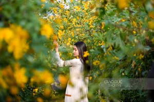 Giới trẻ rất thích thú, mong đợi chụp ảnh cùng với loài hoa này.