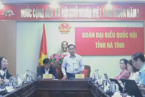 Đại biểu Trần Đình Gia (Đoàn ĐBQH tỉnh Hà Tĩnh).