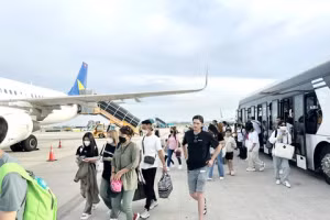 Cục Hàng không yêu cầu hãng bay báo cáo giá vé dịp Tết.