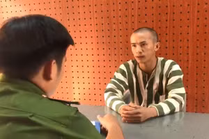 Phạm Văn Đạt khai nhận mình và cả nhóm đã thực hiện nhiều vụ trộm cắp tài sản.