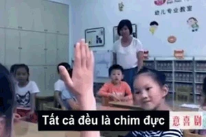 Câu hỏi xoáy của cô giáo và 1001 cách đáp xoay của học sinh