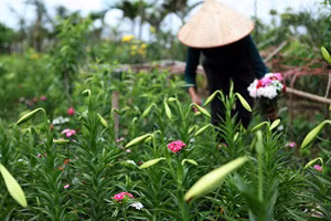 Ảnh minh họa/INT