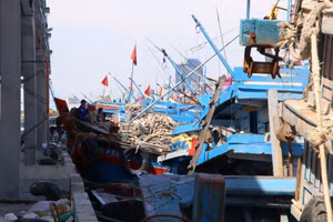 Nhiều chủ tàu cá lo thua lỗ trước mỗi chuyến đi biển, khi mà xăng dầu đang trong thời gian "bão giá". 