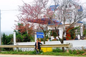 Đến Long Lanh ngắm đào nở