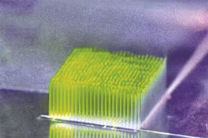 Vi khuẩn sống trong “tòa nhà nano cao tầng”.