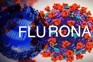 Ảnh minh họa/INT