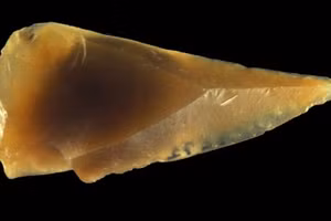 Thời gian người Homo sapiens đến châu Âu