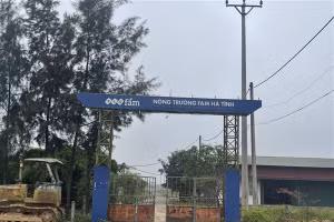 Dự án Nông nghiệp công nghệ cao do Công ty TNHH Sản xuất và Kinh doanh xuất nhập khẩu nông sản FAM Hà Tĩnh (thuộc Tập đoàn FLC).