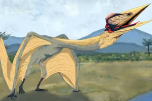 "Rồng tử thần" là có thật