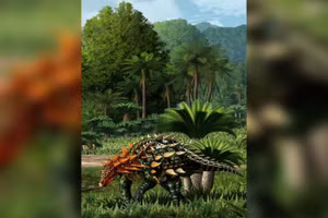 Sinh vật cổ đại thuộc nhóm thyreophoran.