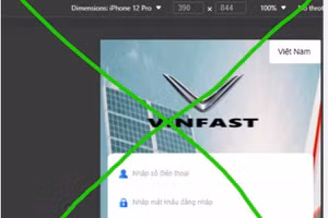 Ảnh chụp màn hình giao diện một trang Web giả mạo. 