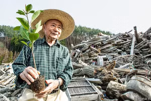 Nhà sinh thái thực vật học Miyawaki Akira (1928 – 2021).