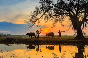 Ảnh minh họa/INT