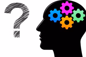 Cơ chế chính sắp xếp ký ức theo thời gian của não