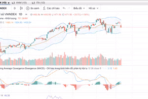Vnindex rơi 30 điểm do nhóm cổ phiếu vốn hoá lớn đồng loạt giảm giá.