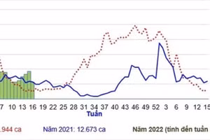 Số ca sốt xuất huyết tại Thành phố Hồ Chí Minh tăng cao hơn so với cùng kỳ năm 2020, 2021. Ảnh: HCDC.