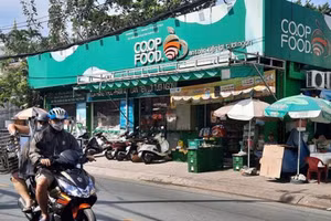 Khu đất tại số 397 Phan Huy Ích (Phường 14) đang được cho thuê khi chưa có chủ trương của UBND TP.