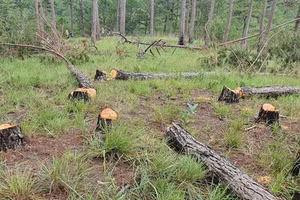 Ảnh minh họa/INT