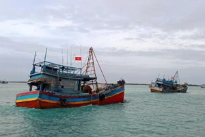 Những "cột mốc sống" giữa trùng khơi