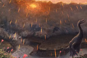 Xác định mùa xảy ra vụ va chạm giữa thiên thạch với Trái đất