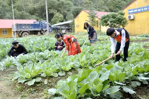 Ảnh minh họa/INT