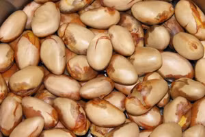 Hạt mít được nhóm sinh viên Trường Đại học Công nghiệp Thực phẩm TPHCM sử dụng để lên men thành rượu.