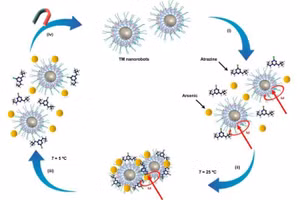 Công thức ứng dụng của nanorobot trong khử kim loại nặng.