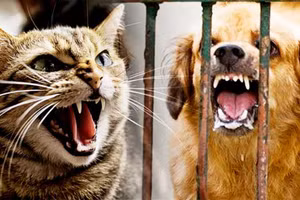 Ảnh minh họa/INT