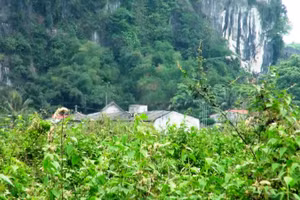 Dự án nhà máy xi măng Thanh Sơn bỏ hoang hơn một thập kỷ.