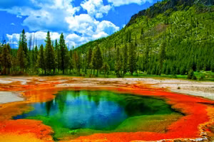 Kỳ thú công viên quốc gia