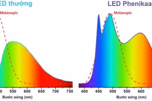 Đèn LED thích ứng với nhịp sinh học của con người