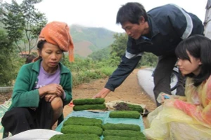 Khách mua rêu suối mùa xuân.