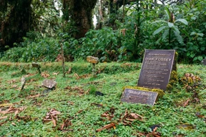 Nơi Dian Fossey yên nghỉ.