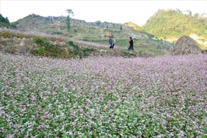 Đến với bài thơ hay: Nghe câu quan họ trên cao nguyên