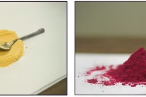 Bột dưa lưới và bột thanh long đỏ.