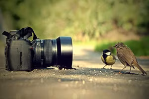 Ảnh minh họa/INT.