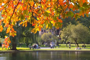 Ảnh minh họa/INT.