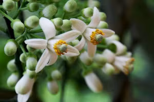 Ảnh minh họa/INT.