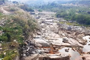 Ảnh minh họa/INT