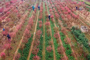 Ảnh minh họa/INT.