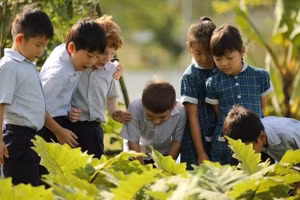 Học sinh Đông Nam Á trải nghiệm mô hình giáo dục Anh quốc.